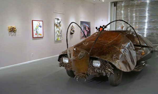 12th Annual Open Call Exhibition, "Trump THIS!", installation view at the Art Car Museum, 2017