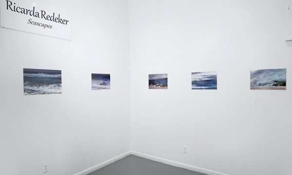 Ricarda Redeker, FotoFest 2018, installation view Art Car Museum 2018